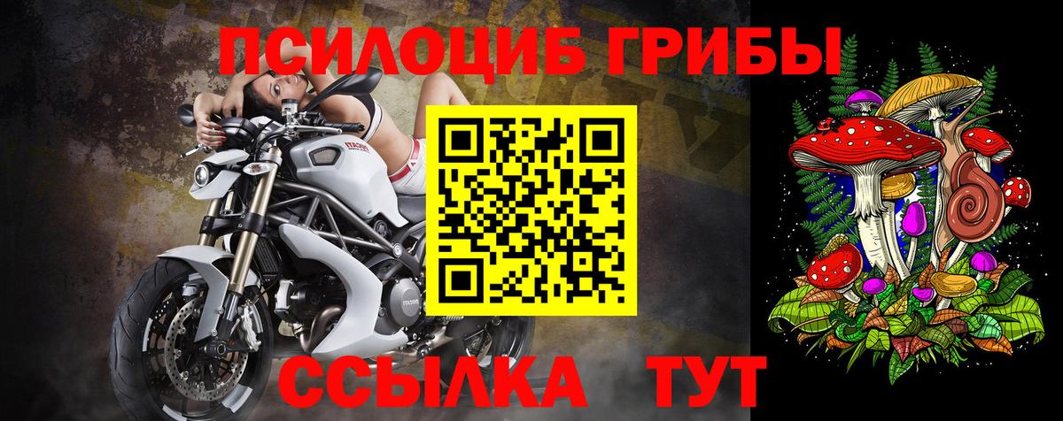 Псилоцибиновые грибы мицелий  Галлюциногенные грибы мицелий  Красноярск  Вход с VPN 