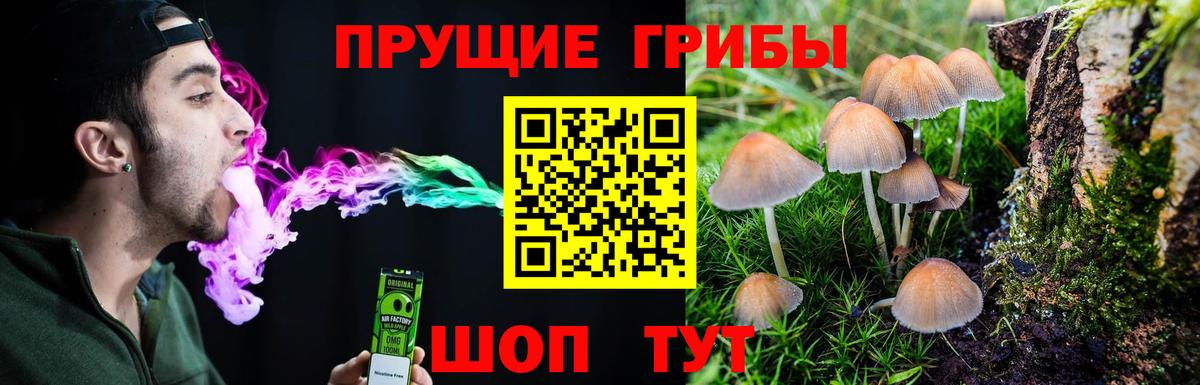 Псилоцибиновые грибы мицелий Красноярск